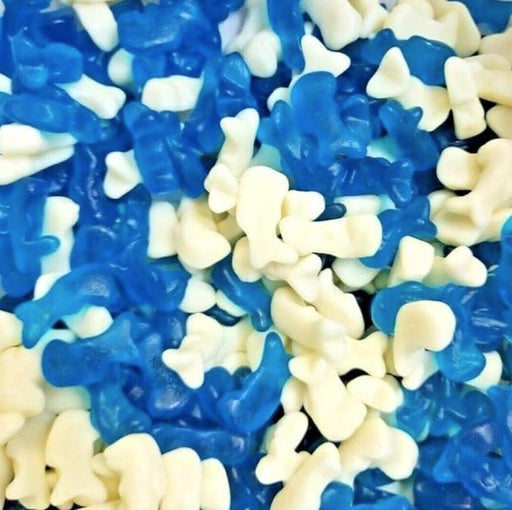 mini blue dolphins